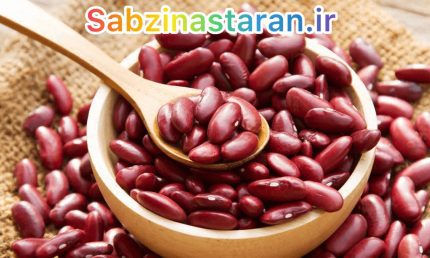 لوبیا قرمز